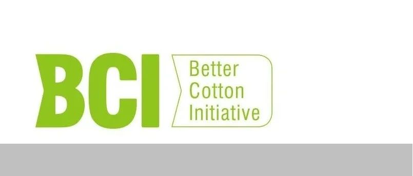 起底BCI：“好棉花我说了才算 别听那些种了几千年棉花的人的”