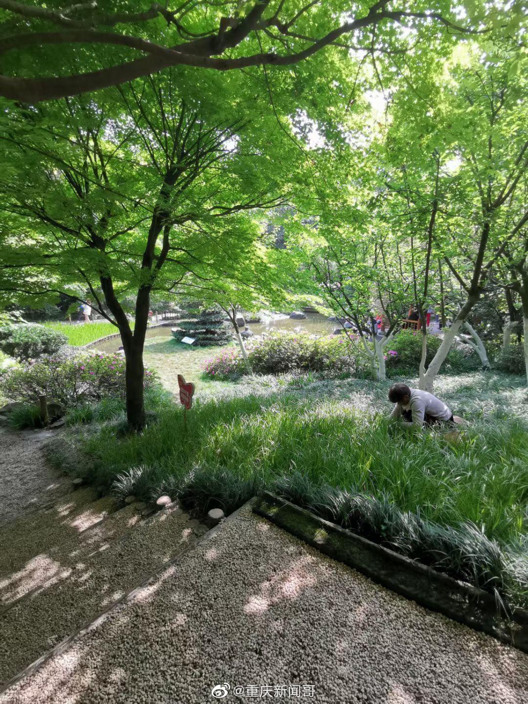 周末去鹅岭公园的广岛园