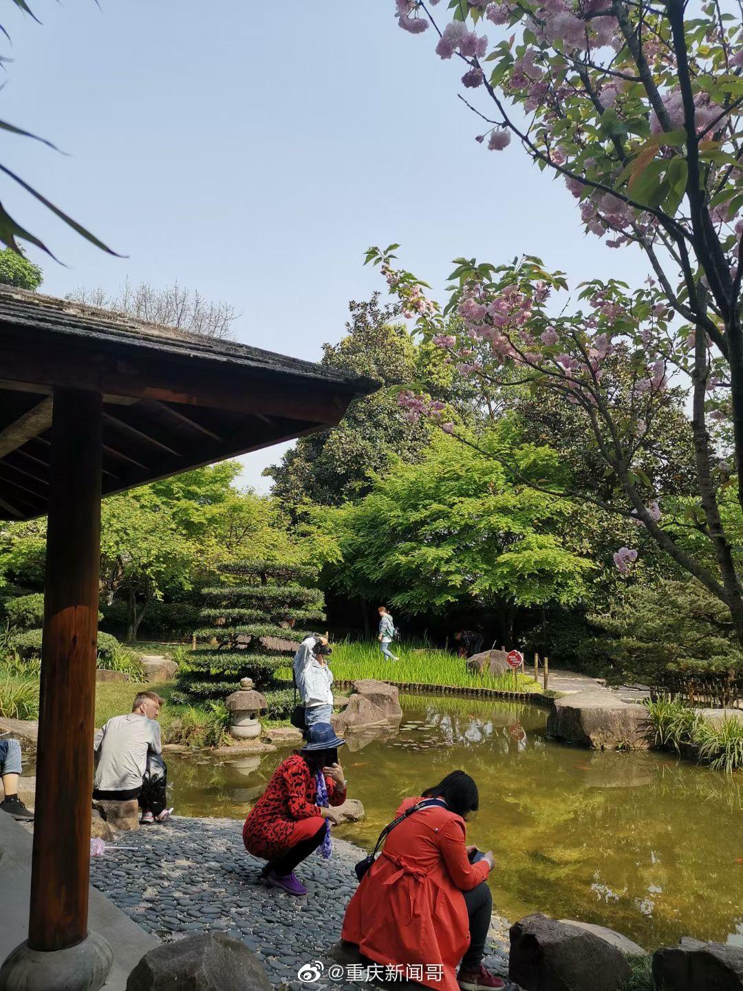 周末去鹅岭公园的广岛园