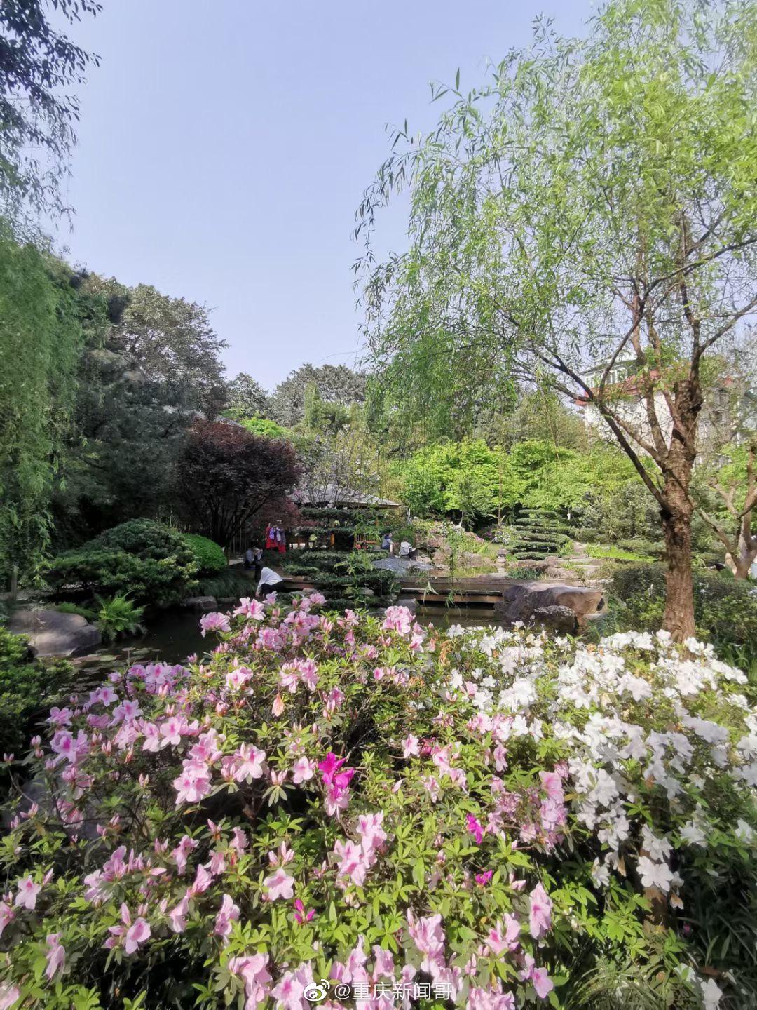 周末去鹅岭公园的广岛园