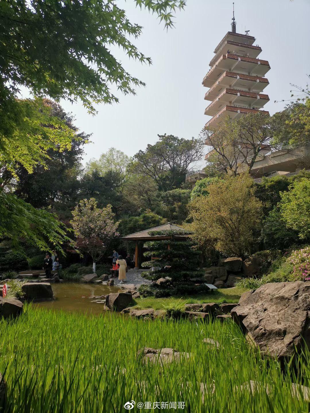 周末去鹅岭公园的广岛园