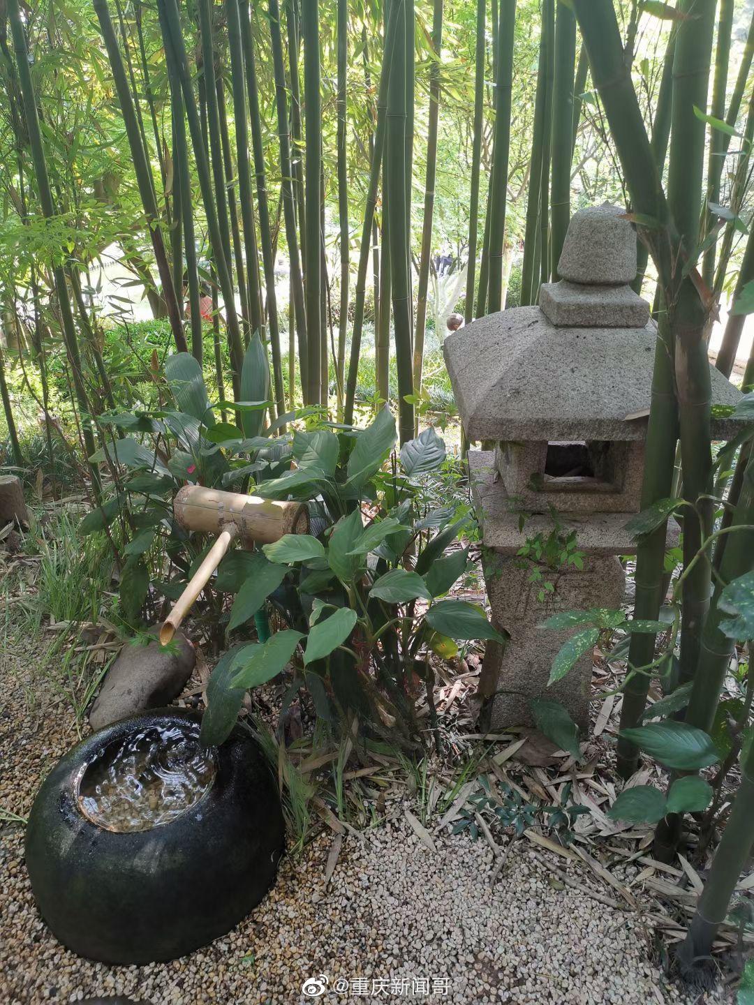 周末去鹅岭公园的广岛园
