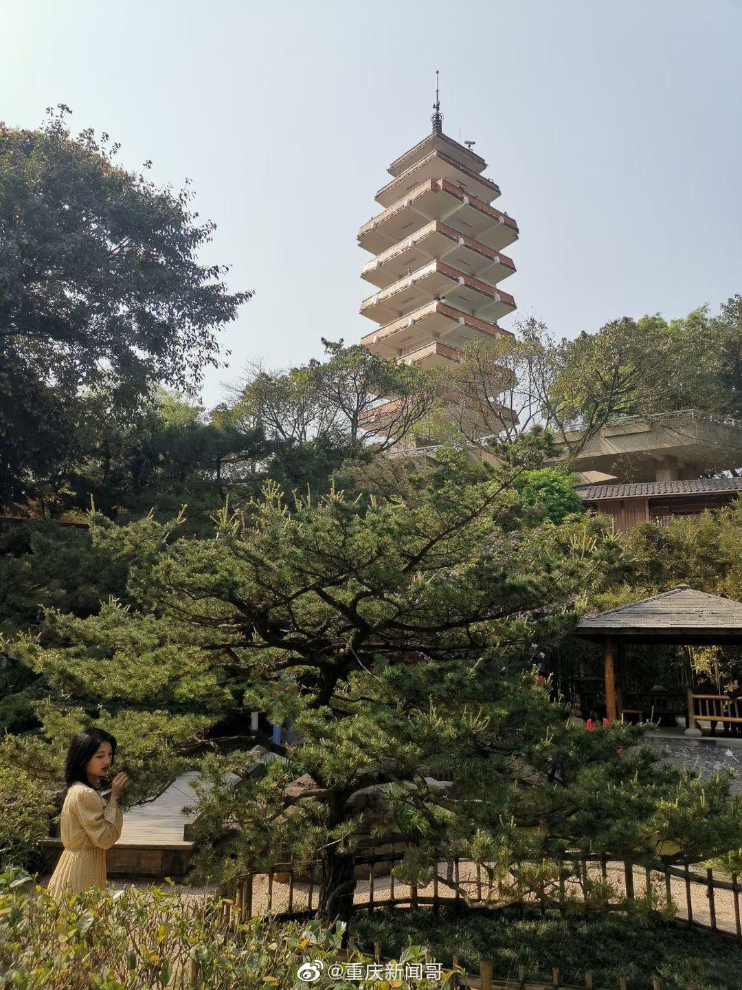 周末去鹅岭公园的广岛园