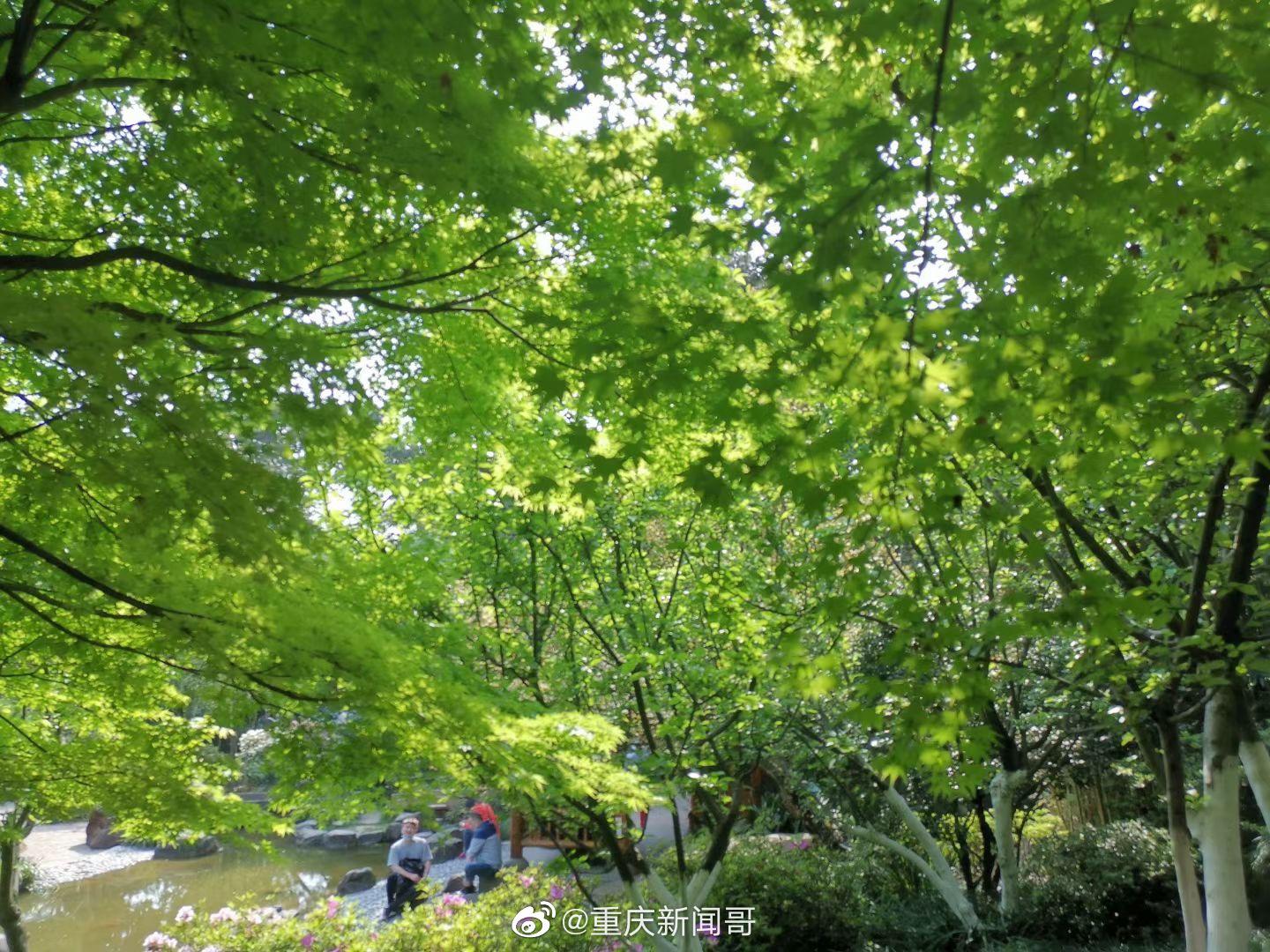 周末去鹅岭公园的广岛园