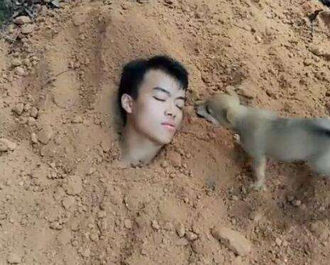 男子挖坑将自己埋起来狗狗看见后慌忙施救网友好想养一条