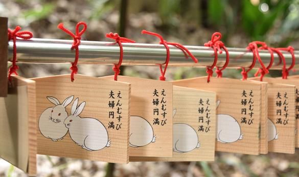 在日本最古老的奈良“大神神社”充电用可爱的兔子祈求姻缘休闲区蓝鸢梦想 - Www.slyday.coM 在日本最古老的奈良“大神神社”充电用可爱的兔子祈求姻缘休闲区蓝鸢梦想 - Www.slyday.coM