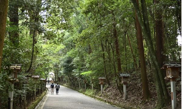 在日本最古老的奈良“大神神社”充电用可爱的兔子祈求姻缘休闲区蓝鸢梦想 - Www.slyday.coM