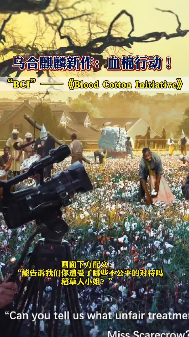 乌合麒麟新作:血棉行动!