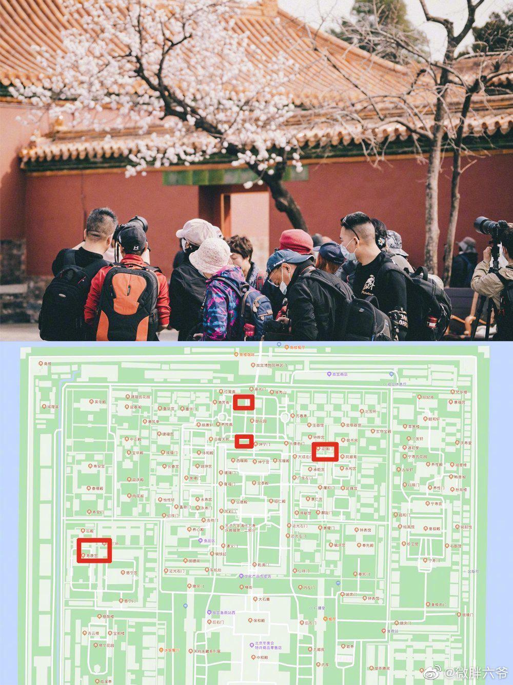 故宫杏花完全攻略春天到北京旅行的人如果要赏花