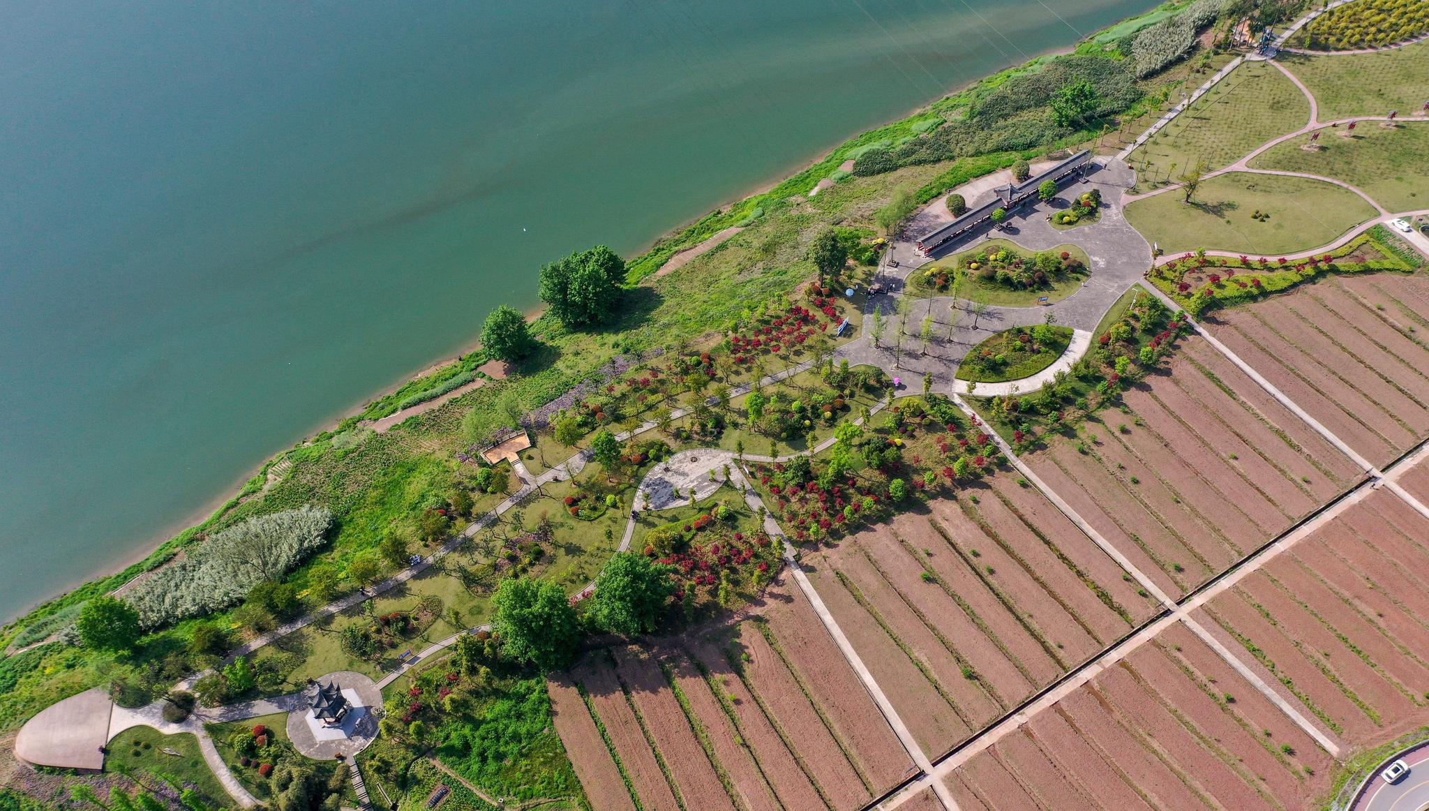 新华社发(游青 摄)3月28日,游客在华蓥市明月镇滨江公园游玩.