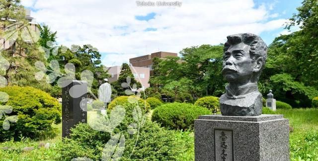 仙台|东北大学|东大_新浪新闻