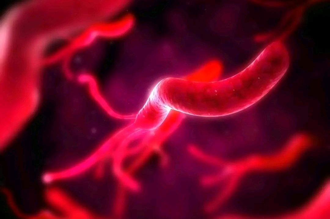 感染了幽门螺杆菌，除了引起口臭，还有哪些“可怕”之处？多了解休闲区蓝鸢梦想 - Www.slyday.coM