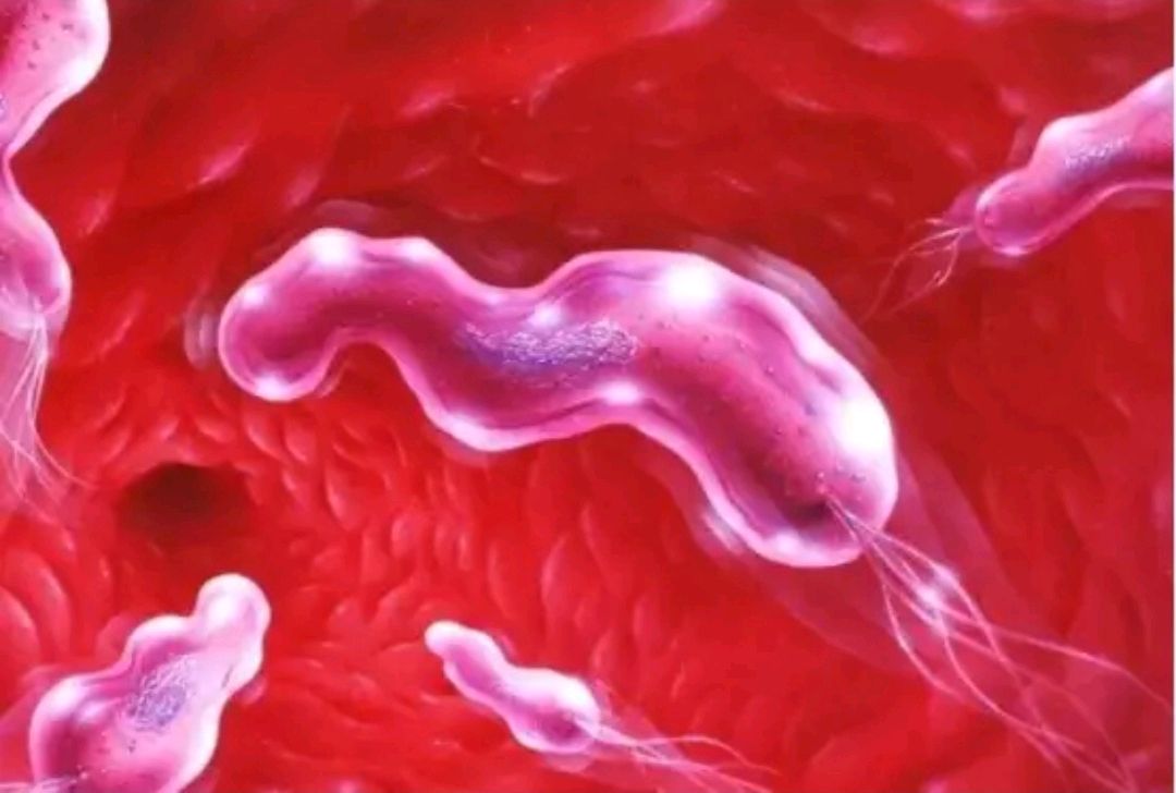 感染了幽门螺杆菌，除了引起口臭，还有哪些“可怕”之处？多了解休闲区蓝鸢梦想 - Www.slyday.coM