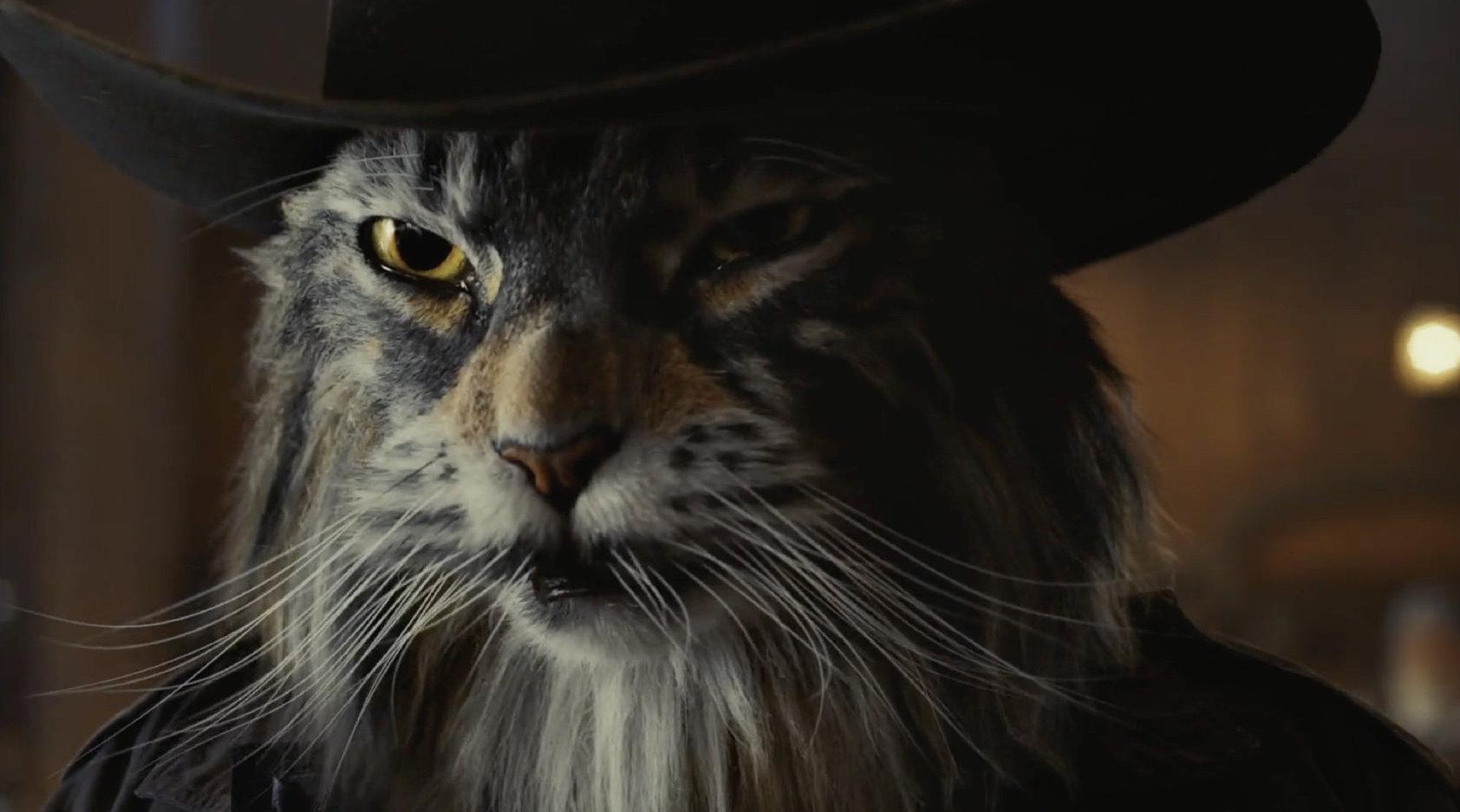 为您推荐: 朋友妻不可欺,原来是这样子的呀 为您推荐: 这猫头超有魔性