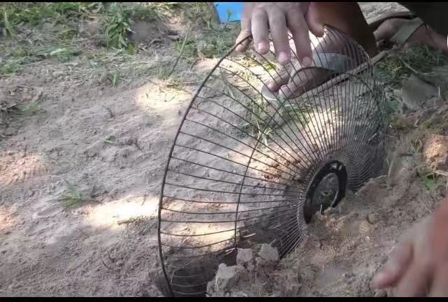小伙用废弃的风扇网自制陷阱,隔天打开一看,众人眼睛亮了!