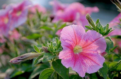 特别声明:以上文章内容仅代表作者本人观点,不代表新浪网观点或立场.