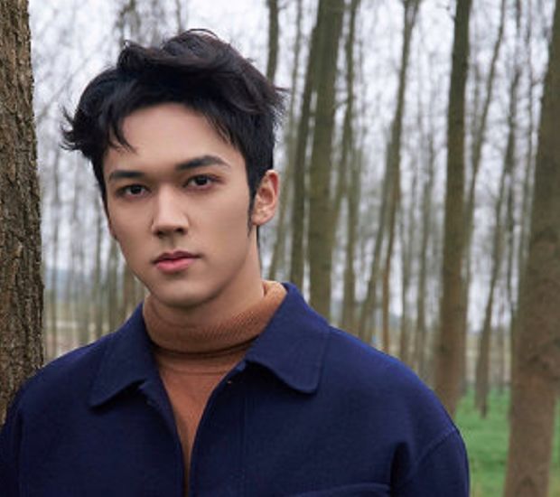 讲述了前特工褚恒追击贩毒集团头目"大鬼",不慎跌入山崖,而后遇上南山