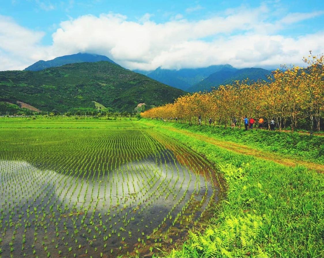 冬天的田野景象 曹妃甸大学城附近现状如何