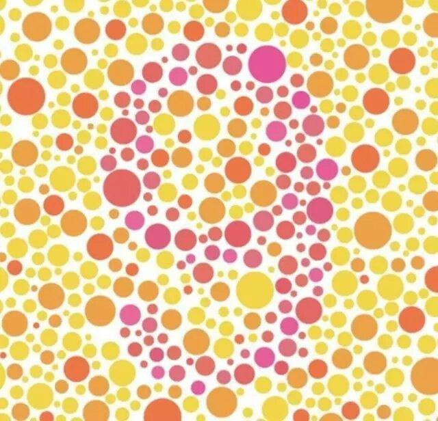 车管所6张色盲检测图,要是看不清第5张上的字母,基本就是色盲