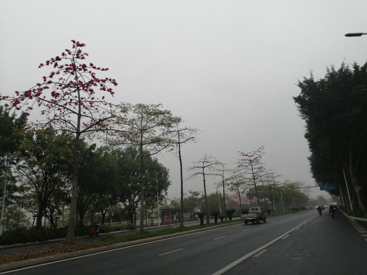 南宁江南大道:无边光景一时新,万紫千红总是春