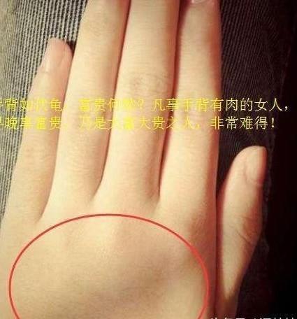 手背如伏龟,富贵何愁,凡事手背有肉的女人,早晚享富贵,乃是大富大贵之