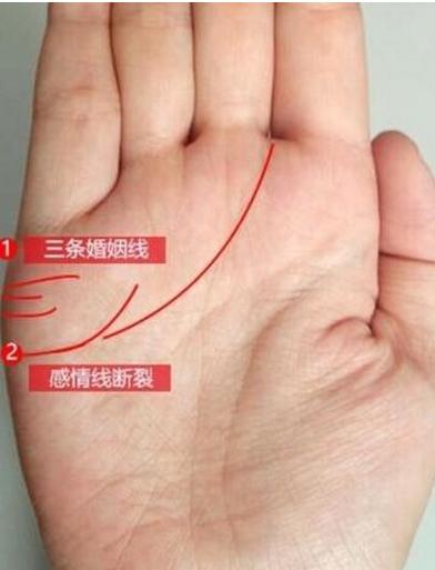 女人,早婚会离婚情路坎坷,命中注定是晚婚的命|手相|感情线|离婚_新浪