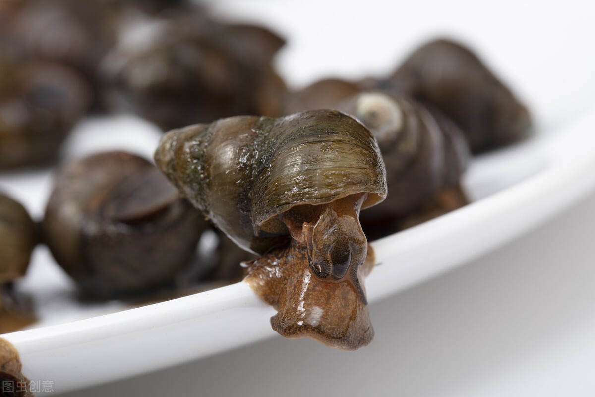 清洗田螺,不要只会放盐,多加一味料,田螺狂吐沙,又快又彻底|田螺|清水