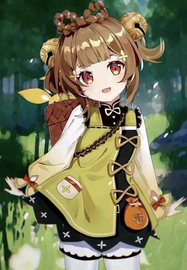 原神新地图稻妻城什么时候开放 稻妻有什么新角色介绍
