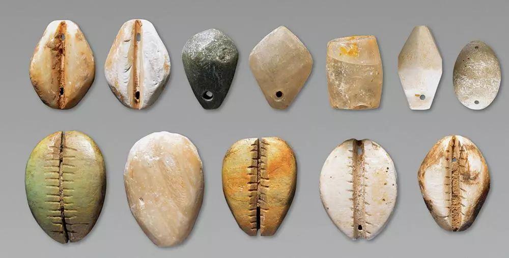 它们来自印度洋,贝币出现在三星堆有三个可能|三星堆|贝币|贝壳_新浪