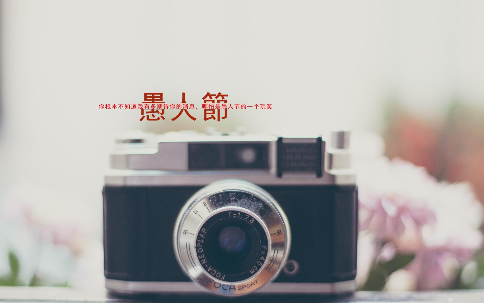 愚人节搞笑文案短句子,适合发朋友圈整人的搞怪说说休闲区蓝鸢梦想 - Www.slyday.coM 愚人节搞笑文案短句子,适合发朋友圈整人的搞怪说说休闲区蓝鸢梦想 - Www.slyday.coM