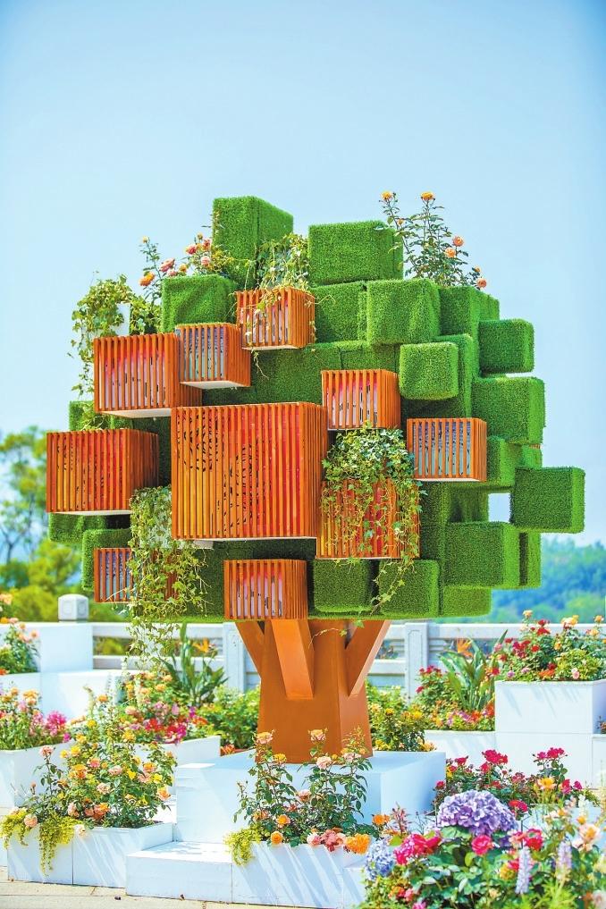 71万余人次观展2021粤港澳大湾区深圳花展让人流连忘返