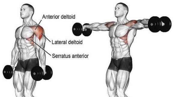 了解哑铃侧平举常见错误和正确练习方式,如何正确完成跑步机训练