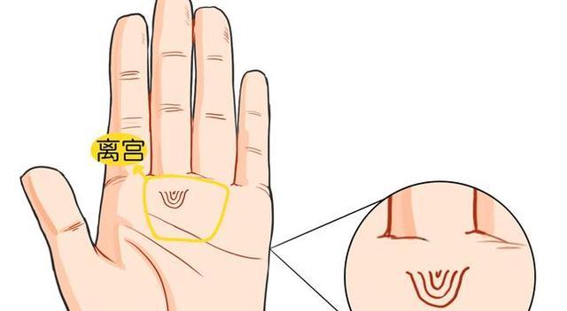 离宫位置有臣纹的人,在中年能有所成,往往年轻时候比较辛苦,需要白手