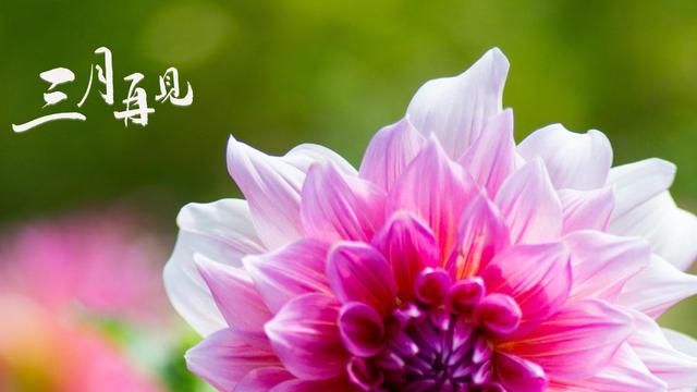 3月的最后一天关于三月再见的唯美文艺句子