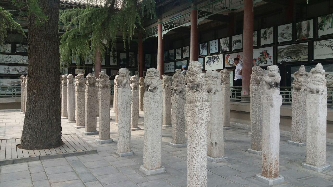 西安碑林博物馆有众多的石碑,专家经研究,终于找到它们的老家