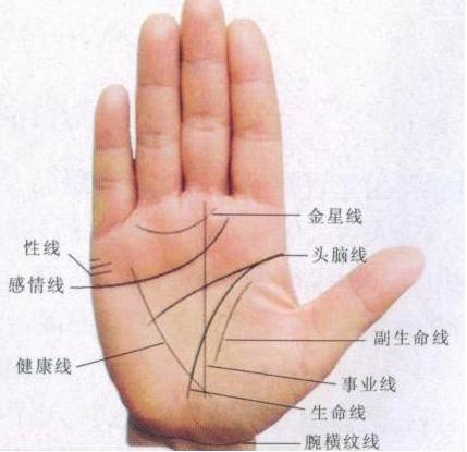 手中有三角纹的人迟早要发大财定富贵无疑