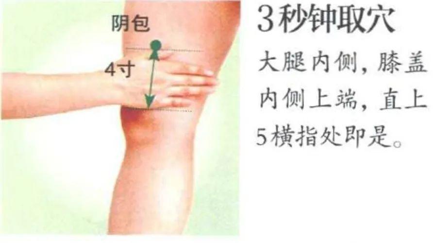 鼻梁青筋,舌下青筋,腿部青筋……的预意和艾灸法