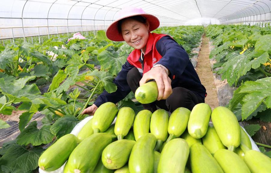 和音为促进全体人民共同富裕而努力