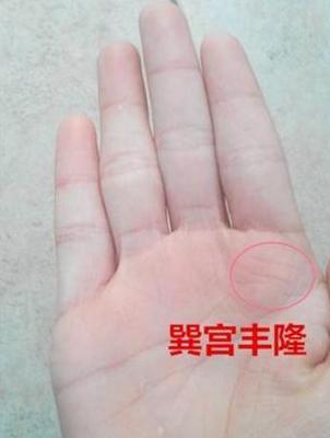 内嵌三角纹,财气丰隆,大财可发,三角纹位于掌心明堂,内嵌着巨细两个