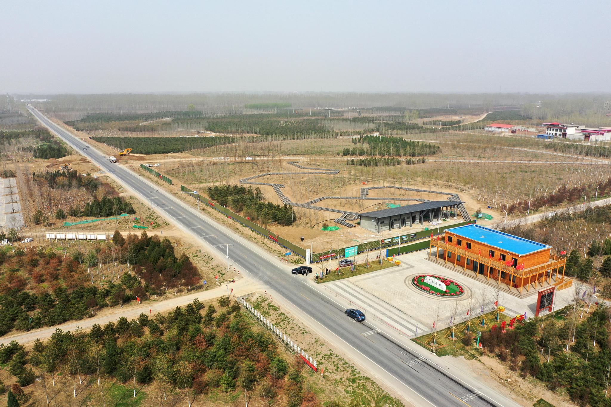 3月31日拍摄的雄安新区"千年秀林"(无人机照片).