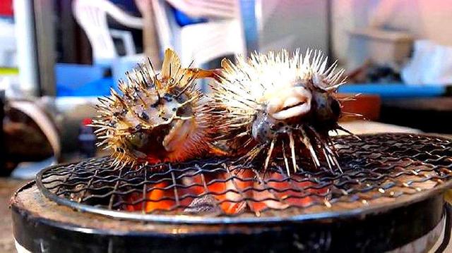 日本小伙作死烤河豚活的河豚直接扔火炉上镜头记录全过程