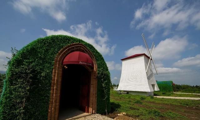遛娃烧烤拍照野餐——太阳葡萄小镇