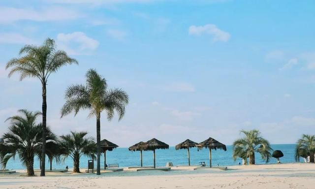 云南抚仙湖168公里风景线将落成四月樱花粉色沙滩还有美食