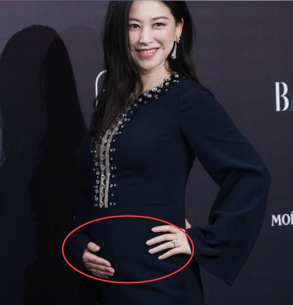 演员朱珠孕肚图片图片