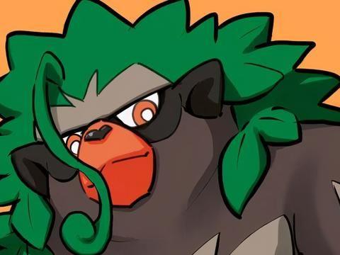 《宝可梦》奇闻趣事:名声四起的卡璞·猩猩,火山镇石与席多蓝恩