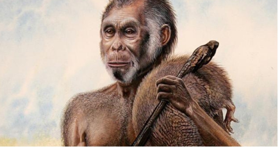 西方人比东方人多了2块骨头？问题出在哪？科学家终于给出答案休闲区蓝鸢梦想 - Www.slyday.coM