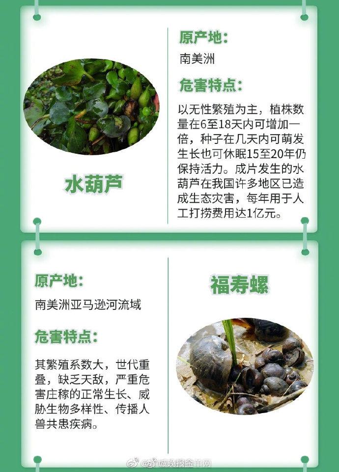 常见外来入侵物种档案常见外来入侵物种档案 - 淘金网