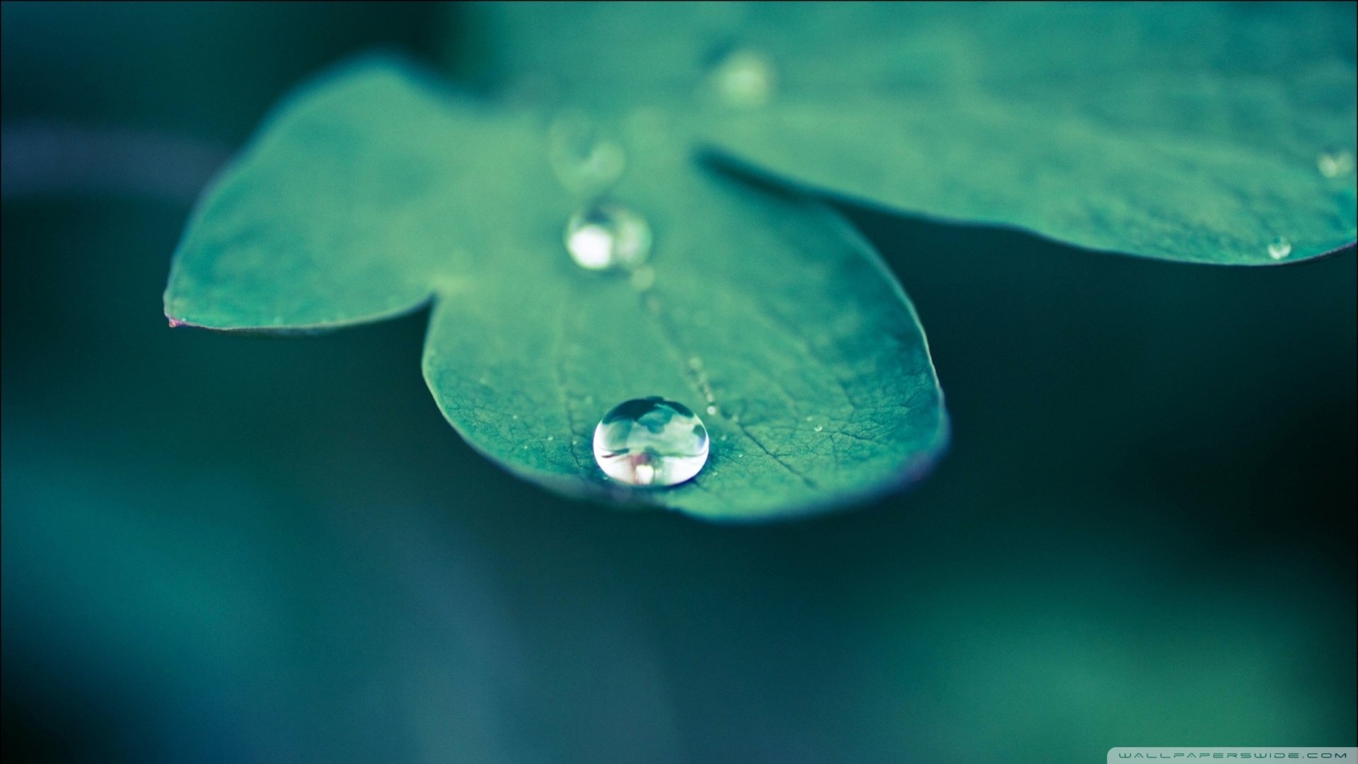 朋友会越来越少的三大星座,天赋高,成长快,没人追得上他们脚步