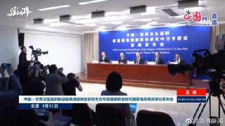 水貂和猫等动物对新冠病毒高度易感休闲区蓝鸢梦想 - Www.slyday.coM