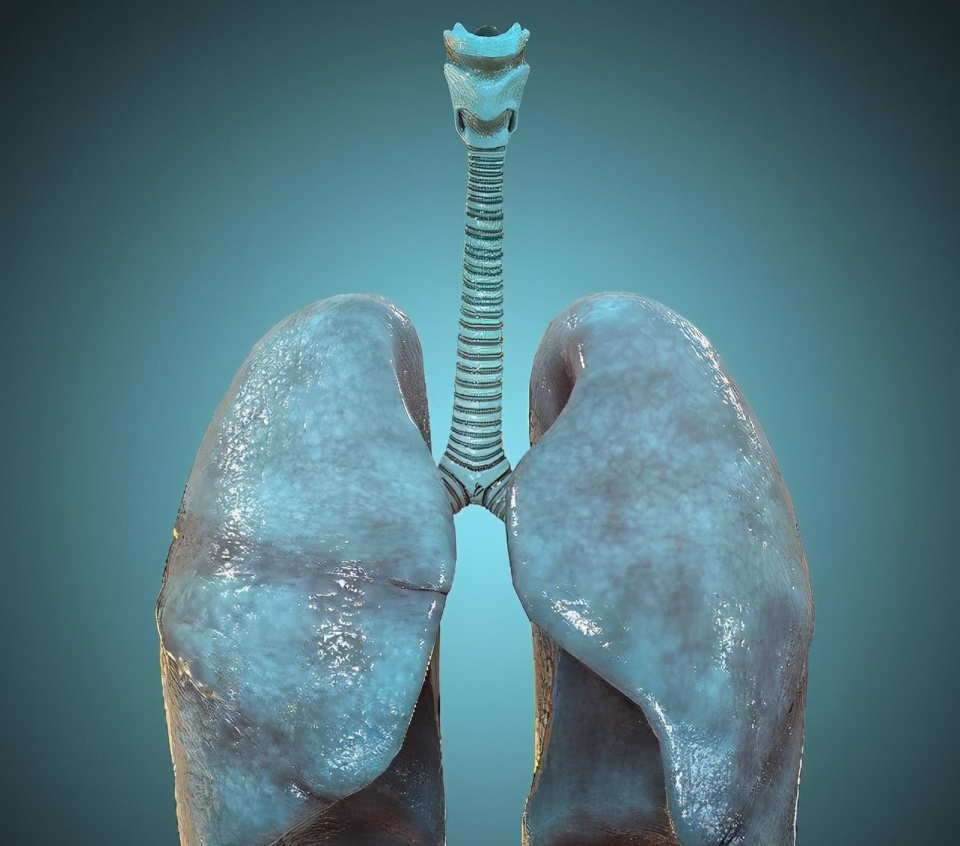 肺不好的人,多吃三白,远离三气,做好五件事,肺部越来越健康